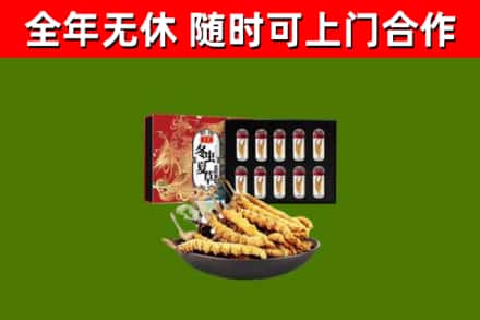 咸阳烟酒回收冬虫夏草礼盒.jpg