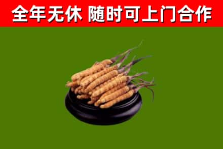 咸阳回收冬虫夏草